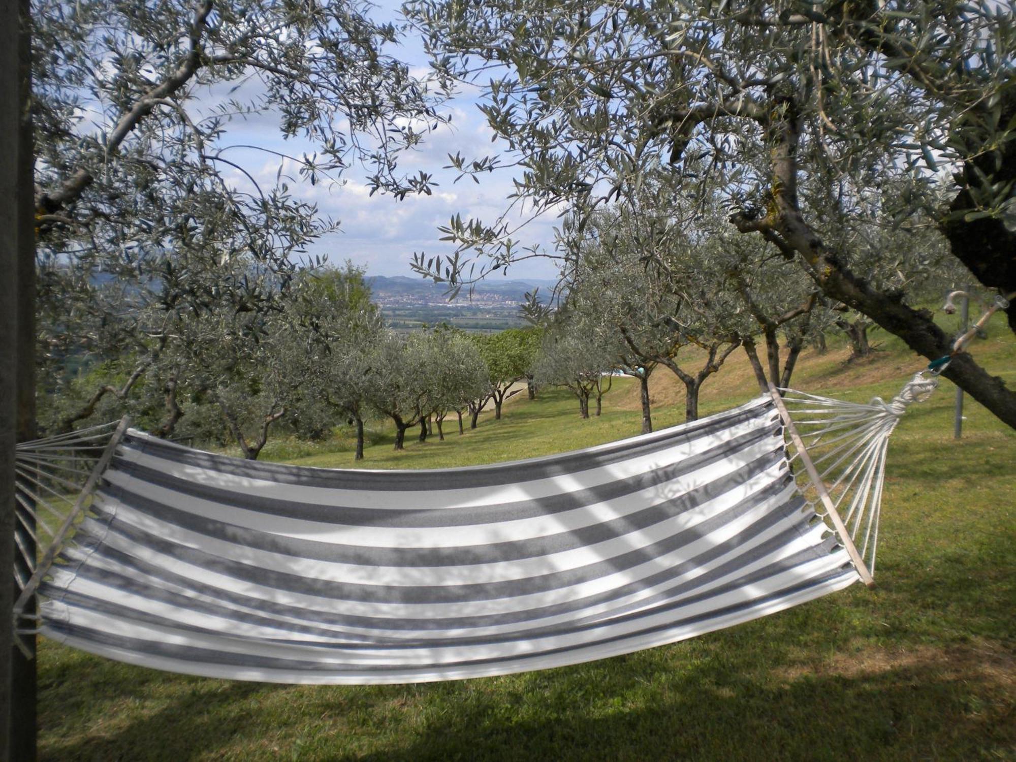 Hostal Il Poggio Delle Ginestre Torgiano Exterior foto
