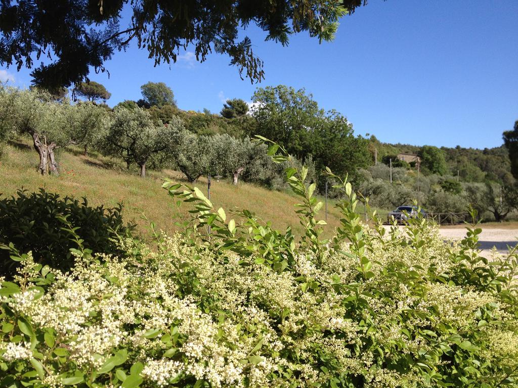 Hostal Il Poggio Delle Ginestre Torgiano Exterior foto